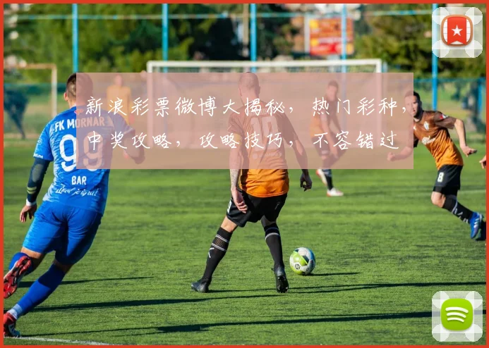 新浪彩票微博大揭秘，热门彩种，中奖攻略，攻略技巧，不容错过
