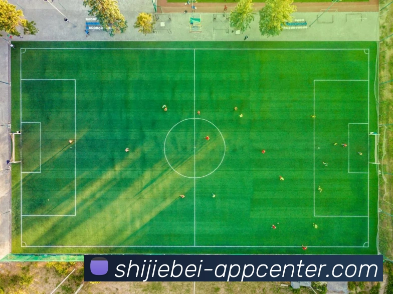 世界杯赛事数据APP 体育赛事宣传图